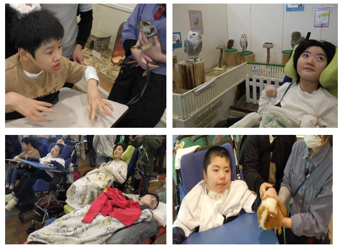 054005035189541fdf35d49a7fb10873-1771556298.png 054005035189541fdf35d49a7fb10873-1771556298.png